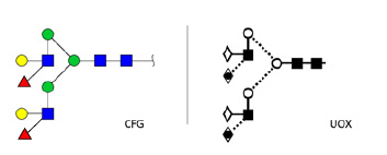 A2G2F2(a1-3)