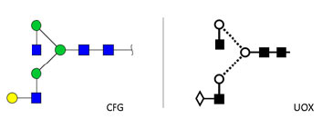 A2[3]G1F1(a1-3)