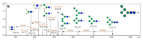 Ludger Scientific Reports publication - Figure 3B