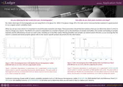 ludger application note on column performance