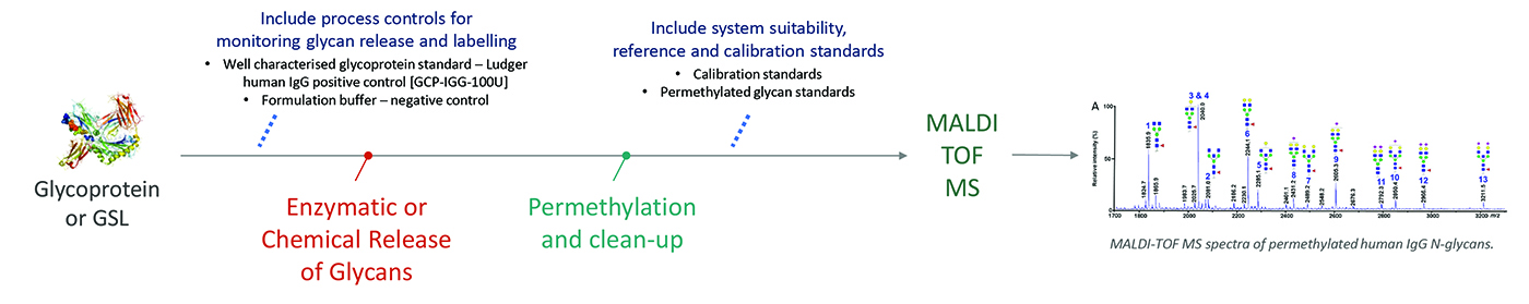 Ludger - Glycan Analysis - Workflow for Level 1 MALDI profiling