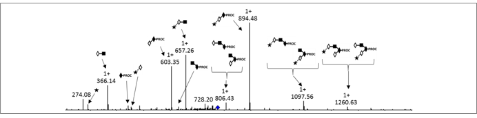 Ludger publication - Comparison of procainamide and 2-aminobenzamide labeling for profiling and identification of glycans