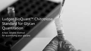 ludger glycan quantitation standards